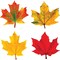Trend Enterprises Maple Leaves Classic Accents Variety Pack, 36 Per Pack, PK3 T10958 - alternate 6